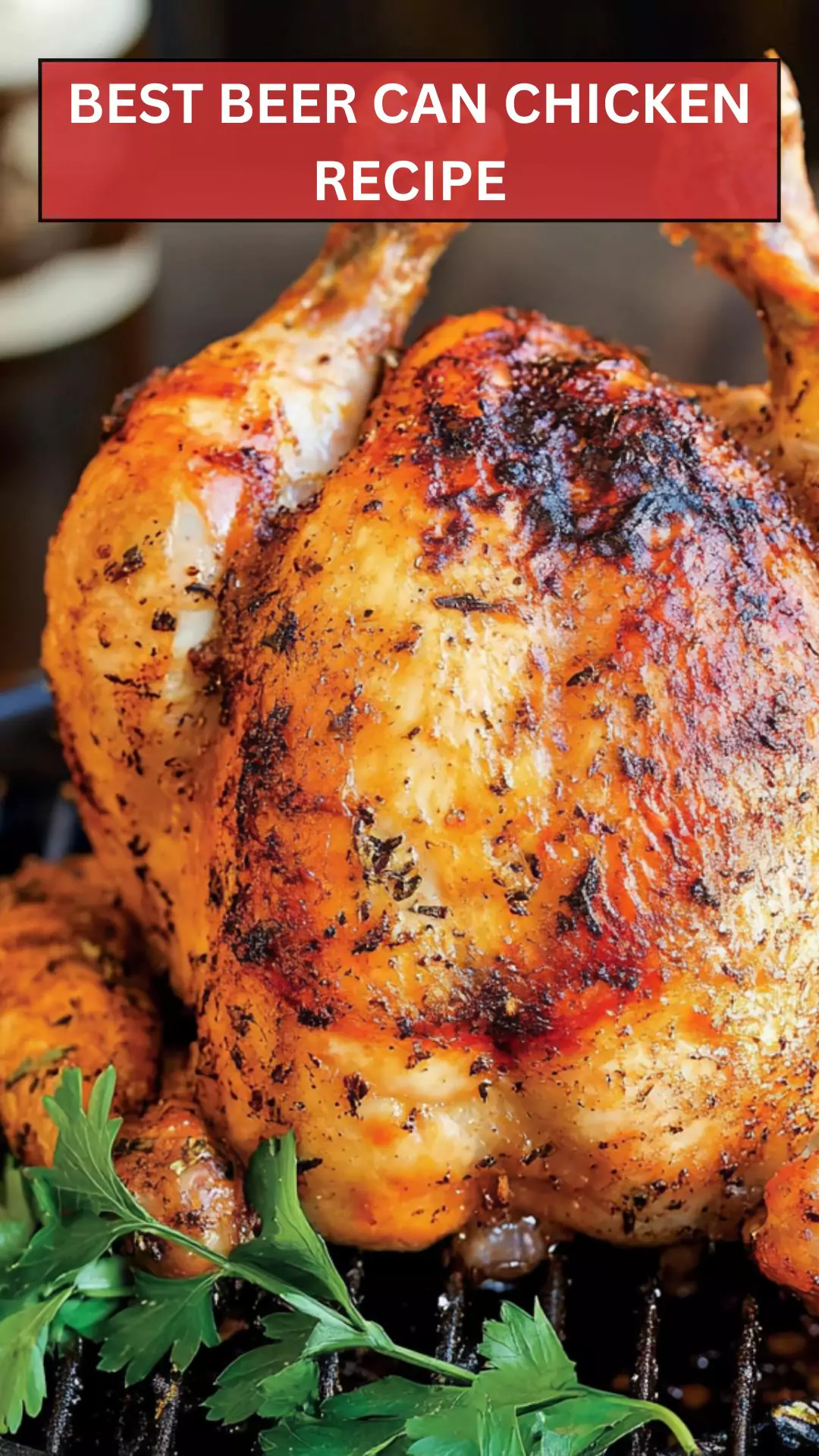 Best Beer Can Chicken Recipe